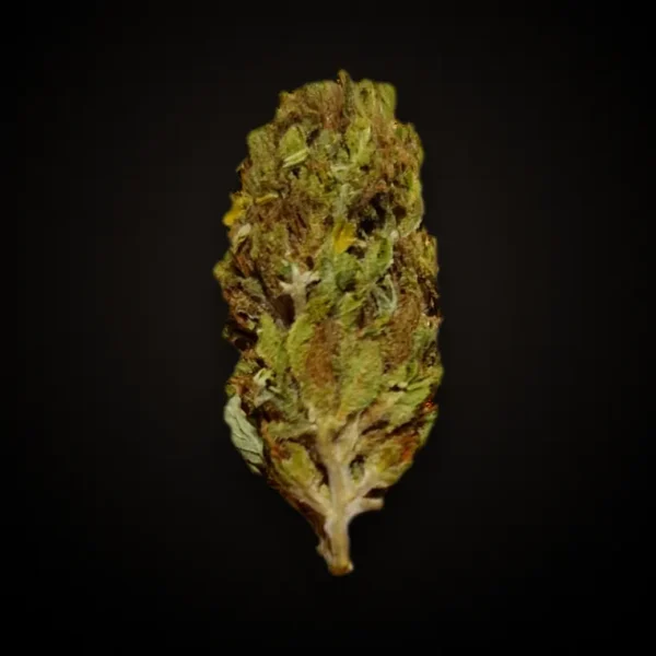 Blueberry CBD