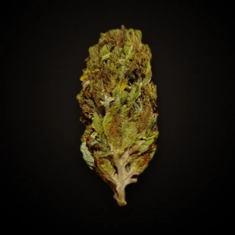 Blueberry CBD